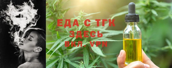 стаф Ельня