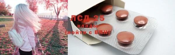 стаф Ельня