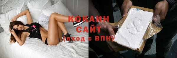 стаф Ельня