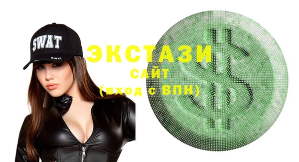 стаф Ельня