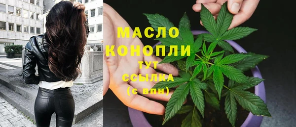 стаф Ельня