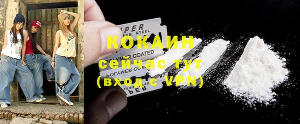 стаф Ельня